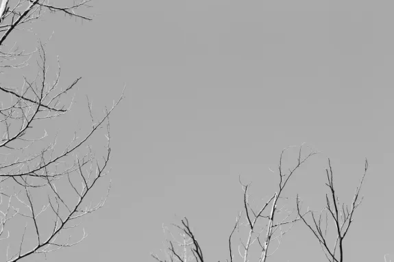 XCasino Casaíne Tacaíocht